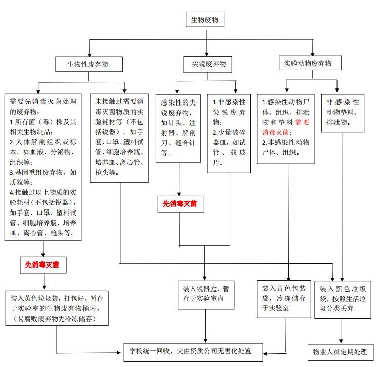 实验室生物废物分类处置流程